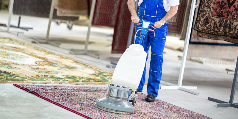 Kumru Halı Yıkama